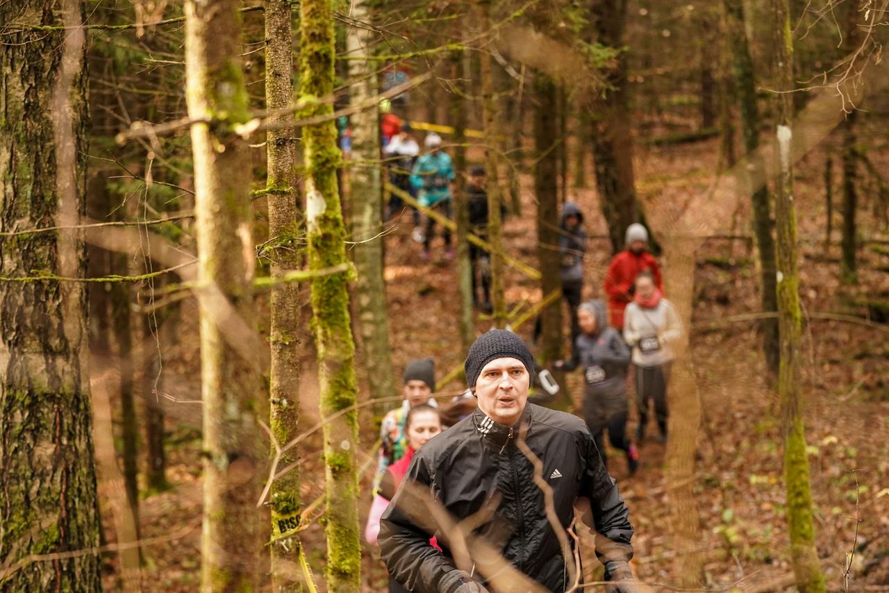Bison Trail 2019